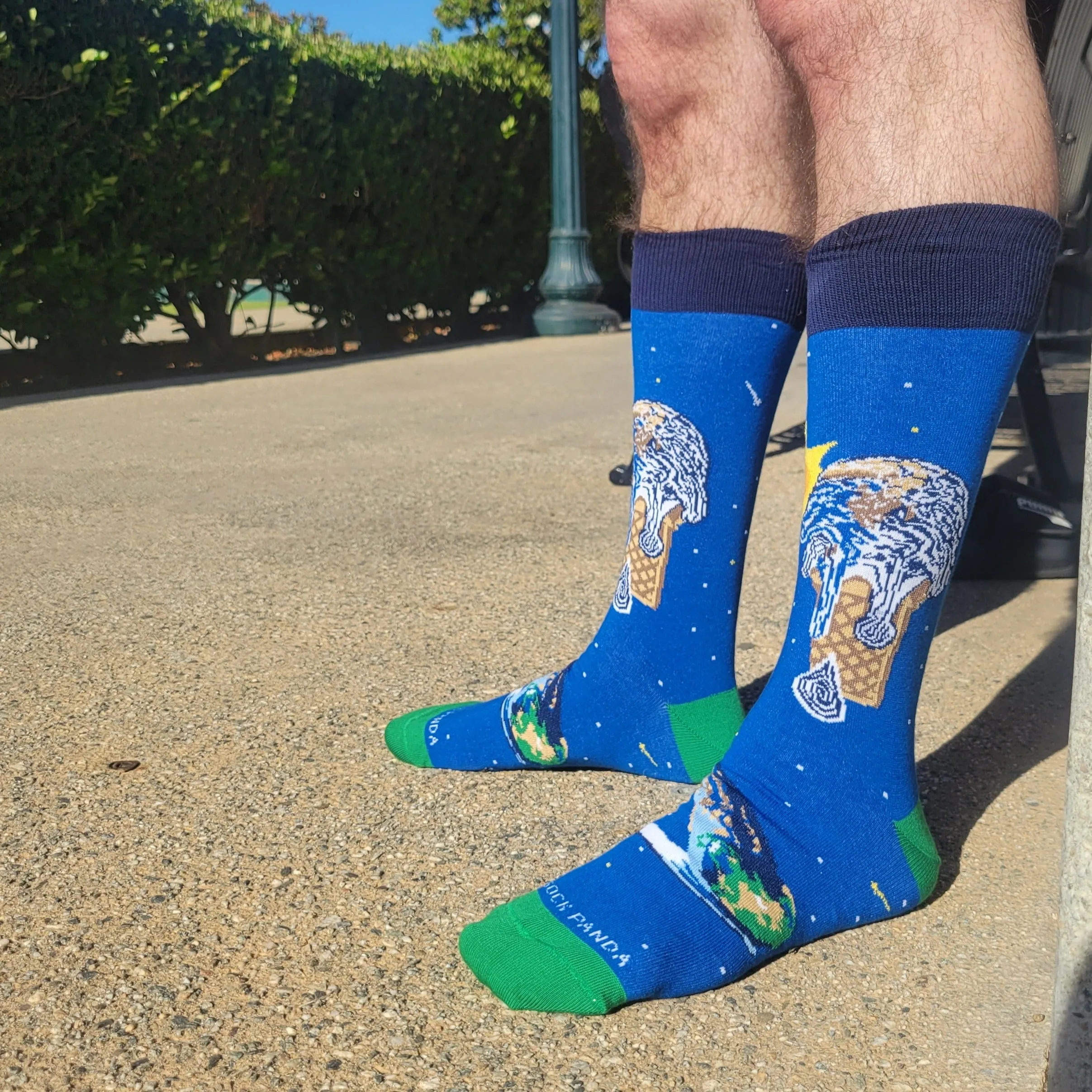 Ice Cream Cone Earth Socks from the Sock Panda (Adult Large - Men's Shoe Sizes 8-12)