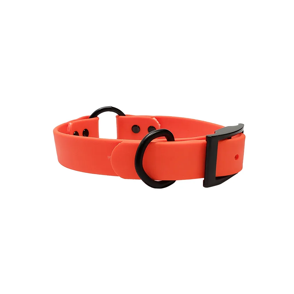 LCS Leather Feel 1" Collar with Black Hardware